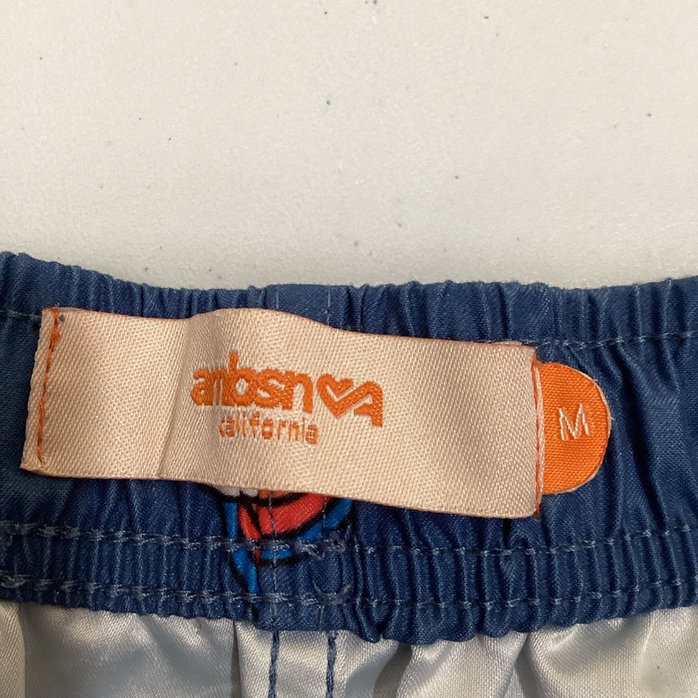 Pacsun Ambsn California Rainbow Swim Trunks - Picture 4 of 8